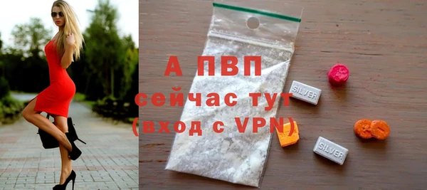 сатива Вязьма