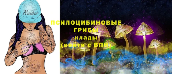 сатива Вязьма