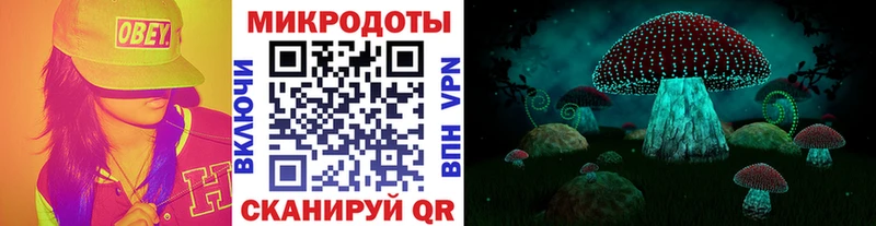 где продают наркотики  Петровск  Псилоцибиновые грибы Magic Shrooms 