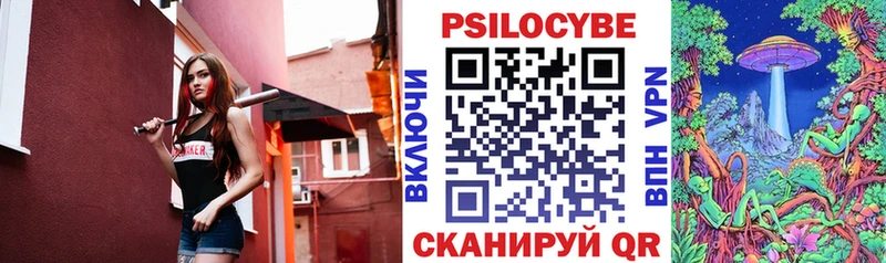 Галлюциногенные грибы Psilocybe Петровск