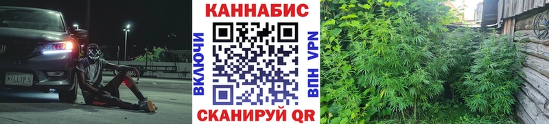 mega как войти  Петровск  Марихуана VHQ  как найти  